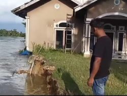 Desa Tanjung Bunga Diterjang Longsong, Rumah Warga Terancam Hanyut Kedalam Sungai Kampar