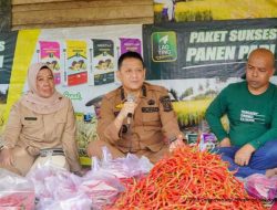 Hambali Tinjau Kebun Cabe Sebagai Bentuk Dukungan Terhadap Petani Tulang Punggung Perekonomian Daerah