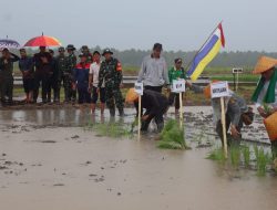 Danrem 031/WB Brigjen TNI Dany Raksa Andalasan Hadiri Penanaman Padi Perdana IP 200