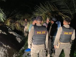 Asyik Berduaan di Kebun Sawit, Pasangan Sejoli Diamankan Tim Patroli Satpol PP Kampar