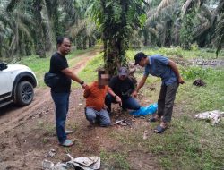 Polsek Tapung Hulu Tangkap Kasus Pembunuhan Sadis di Desa Kasikan Setelah 16 Hari Buron
