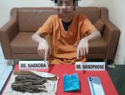 Polres Kampar Ringkus Mahasiswa Diduga Pengedar Ganja di Bangkinang Kota
